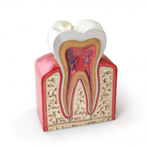 Carie-Conservativa - Ecco come Oral Team può salvare i tuoi denti!